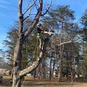 Meet your Posher, Levi